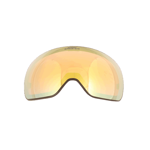 lente máscara VIZZION PolarActivlux S2-4 - BLACK